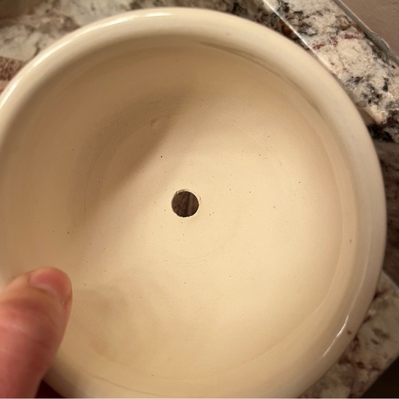 Me so Thorny Plant Pot 🌱 - Picture 2 of 3